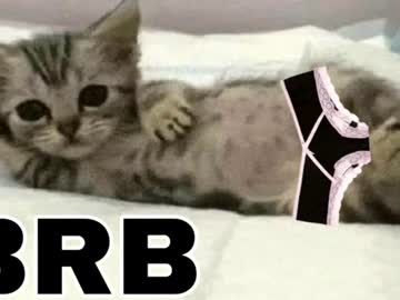 Stream thumbnail _meowmiko__