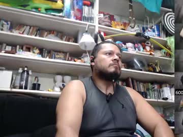 Stream thumbnail alfaalgo