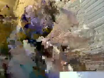 Stream thumbnail asiagoodcat01