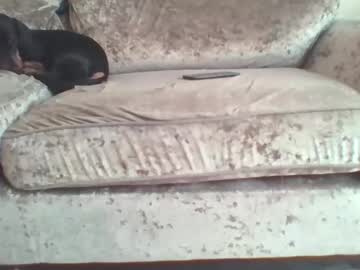 Stream thumbnail colossalcock666