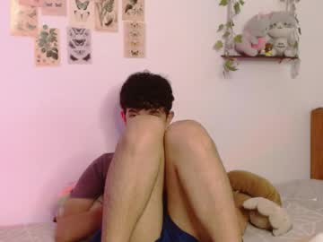 Stream thumbnail cuddly_twinkie
