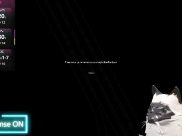 Stream thumbnail gato___blanco