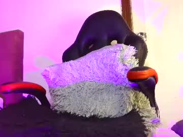 Stream thumbnail gia_milano