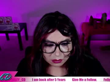 Stream thumbnail haley_cd