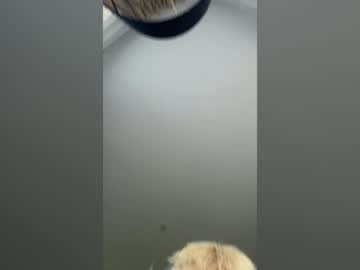 Stream thumbnail michaelhamill204