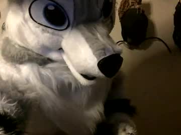 Stream thumbnail midnightlycan3