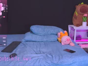 Stream thumbnail pobechita_uwu