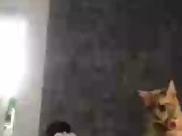 Stream thumbnail redfoxofficial