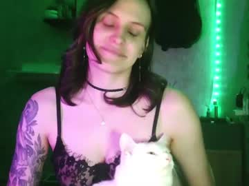 Stream thumbnail shy_chechek