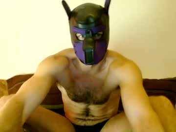 Stream thumbnail tuck_the_pup