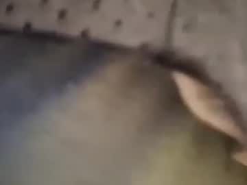 Stream thumbnail verdexsalmon18