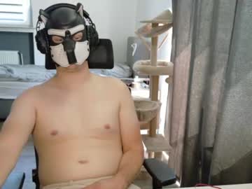 Stream thumbnail white_pup