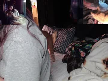Stream thumbnail xox_kitten